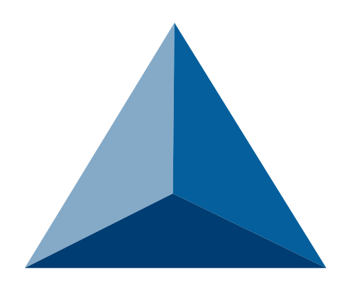 Nirvana Systems logo